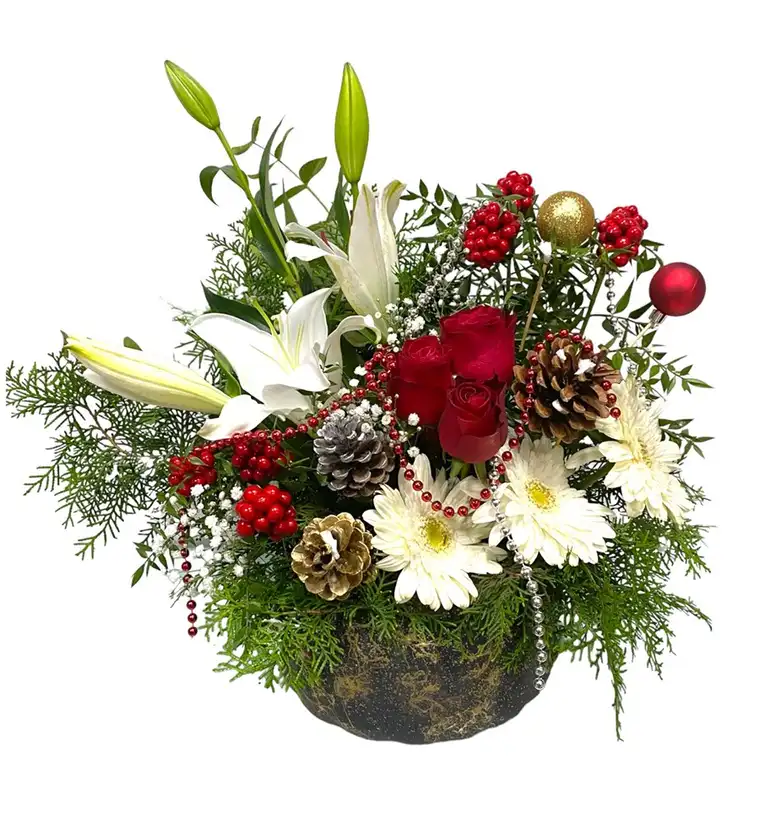 Bartın Little Wish Christmas Siparişi