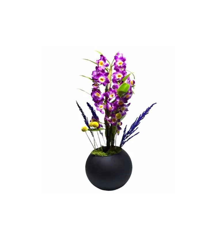 Bolu Mor Dendrobium Orkide Siparişi