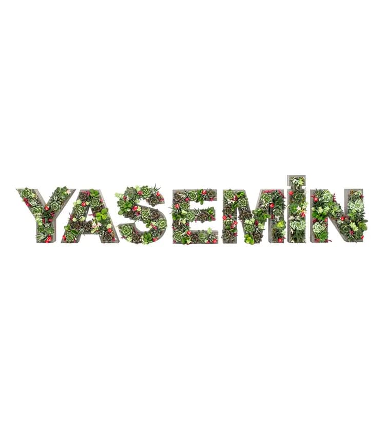 Kişiye Özel 7'li Harf Saksıda Sukulent Tasarım - Van çiçek siparişi