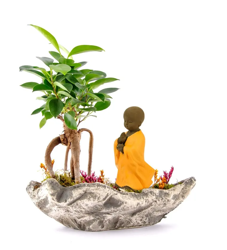 Marineris Serisi Buda Bonsai Bahçesi - Iğdır çiçek siparişi