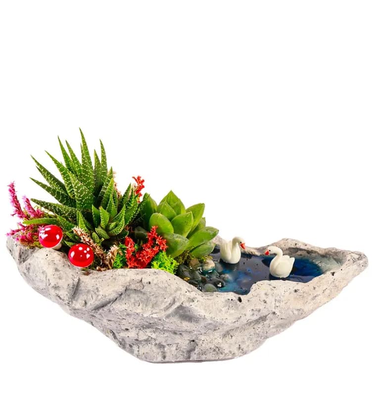Marineris Serisi Haworthia ve Sukulent Teraryum - Van çiçek siparişi