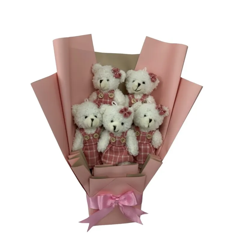 Pembe Ekose Elbiseli Sevimli Peluş Ayıcık Buketi - Van çiçek siparişi